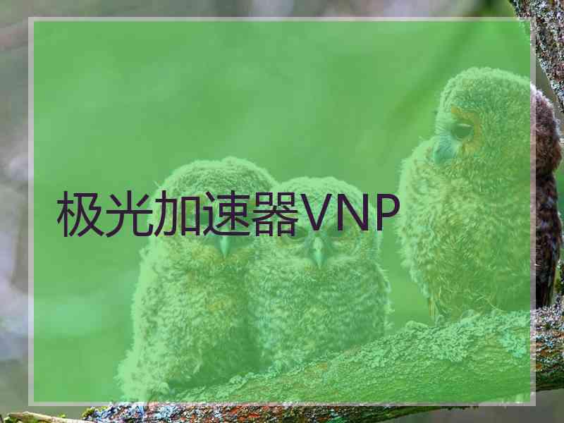 极光加速器VNP