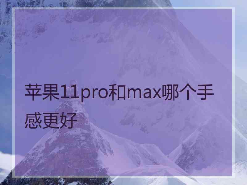 苹果11pro和max哪个手感更好