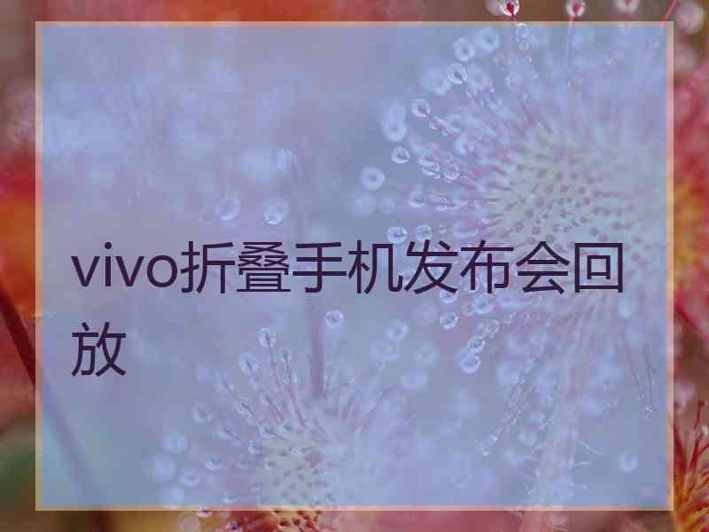 vivo折叠手机发布会回放