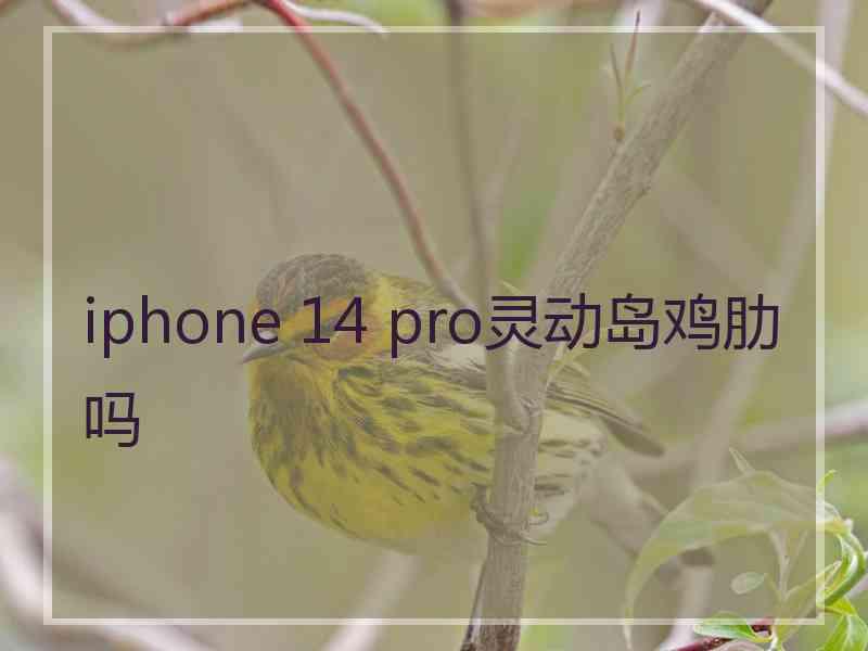 iphone 14 pro灵动岛鸡肋吗