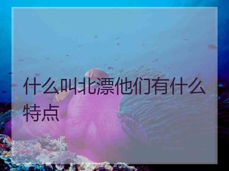 什么叫北漂他们有什么特点