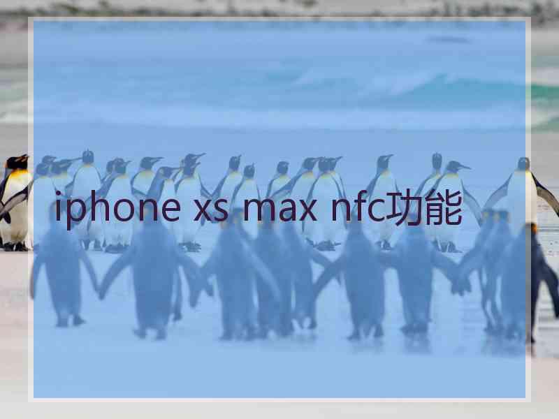 iphone xs max nfc功能