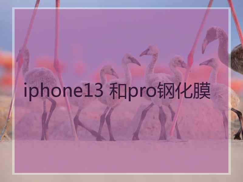 iphone13 和pro钢化膜