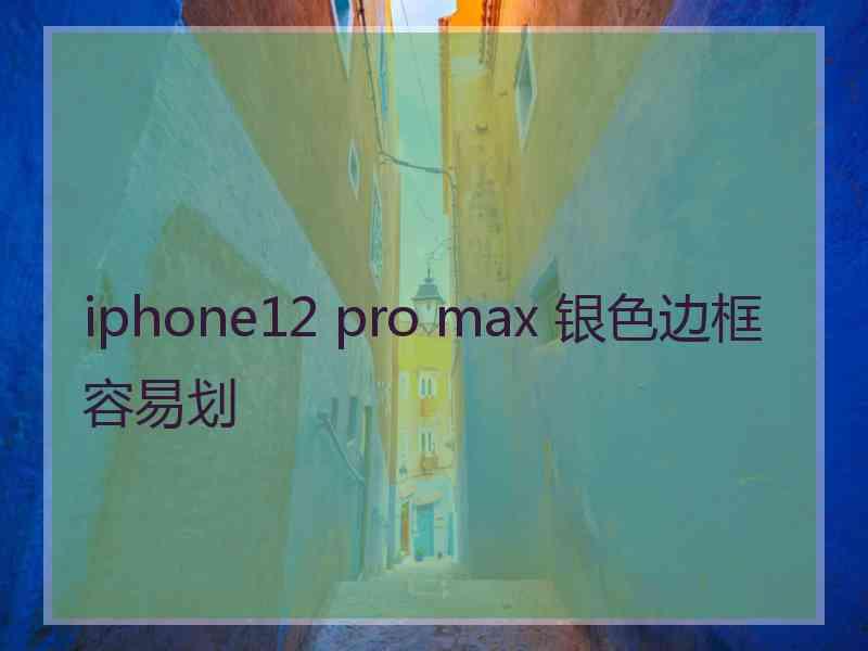 iphone12 pro max 银色边框容易划