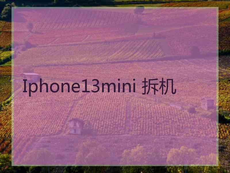 Iphone13mini 拆机