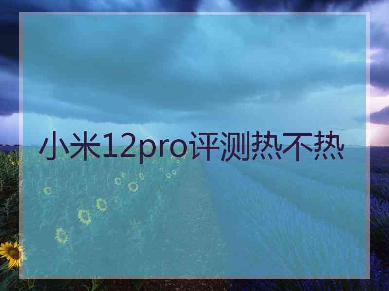 小米12pro评测热不热