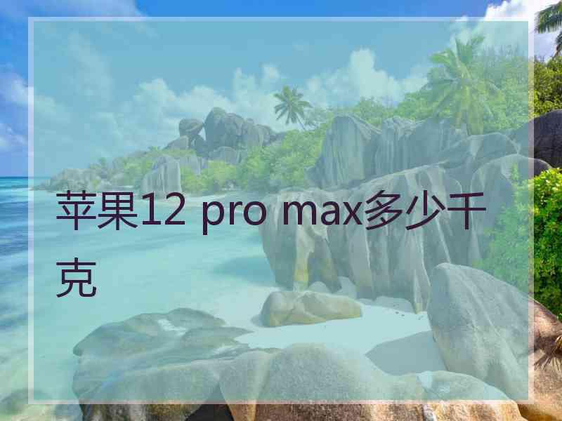 苹果12 pro max多少千克