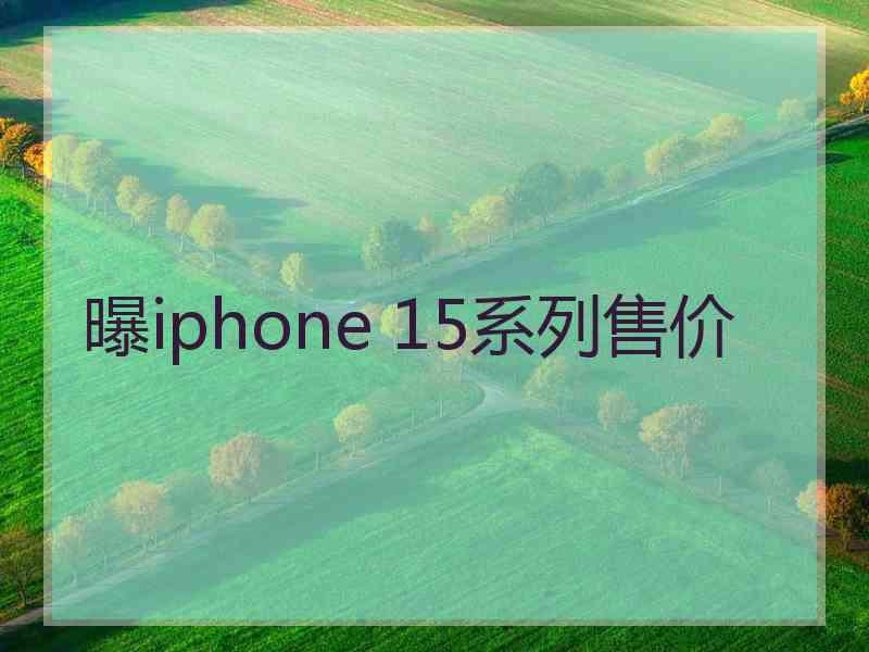 曝iphone 15系列售价