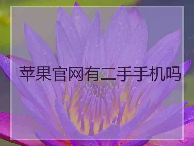 苹果官网有二手手机吗