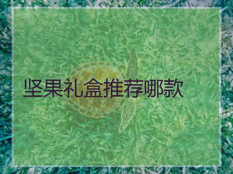 坚果礼盒推荐哪款