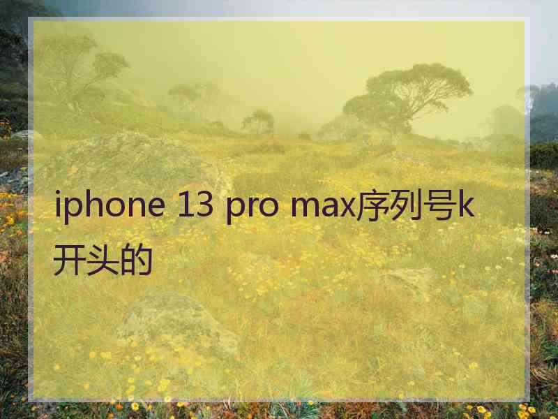 iphone 13 pro max序列号k开头的