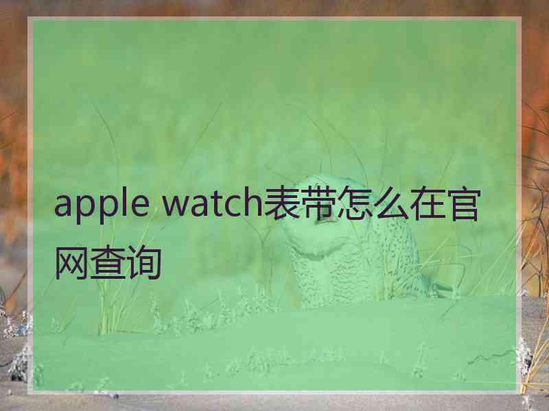 apple watch表带怎么在官网查询