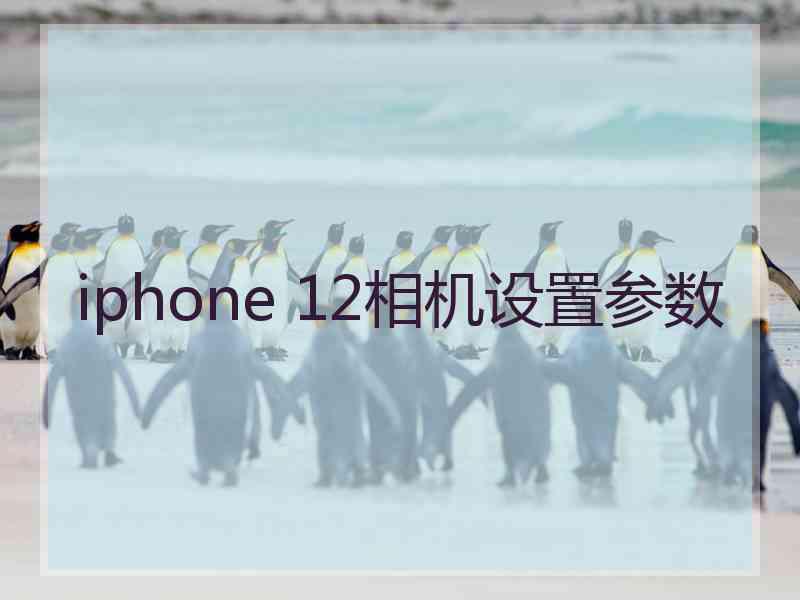 iphone 12相机设置参数