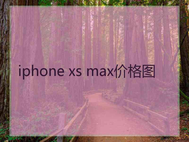 iphone xs max价格图