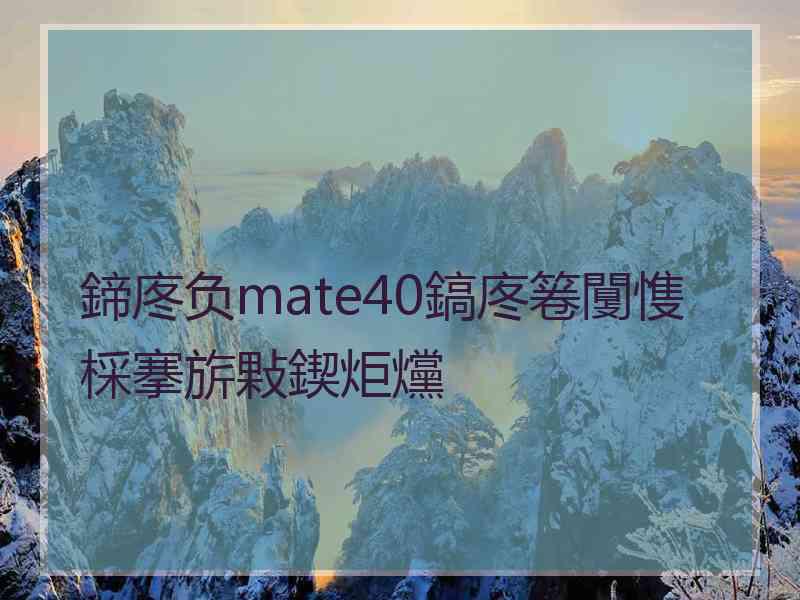 鍗庝负mate40鎬庝箞闅愯棌搴旂敤鍥炬爣