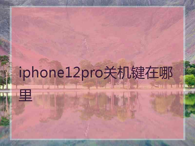 iphone12pro关机键在哪里