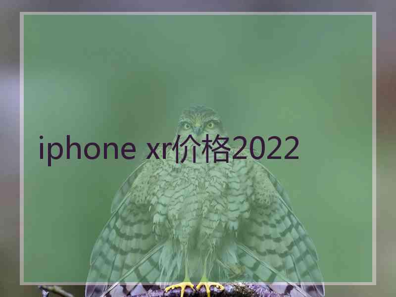 iphone xr价格2022