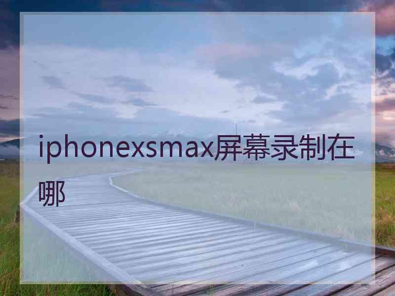 iphonexsmax屏幕录制在哪