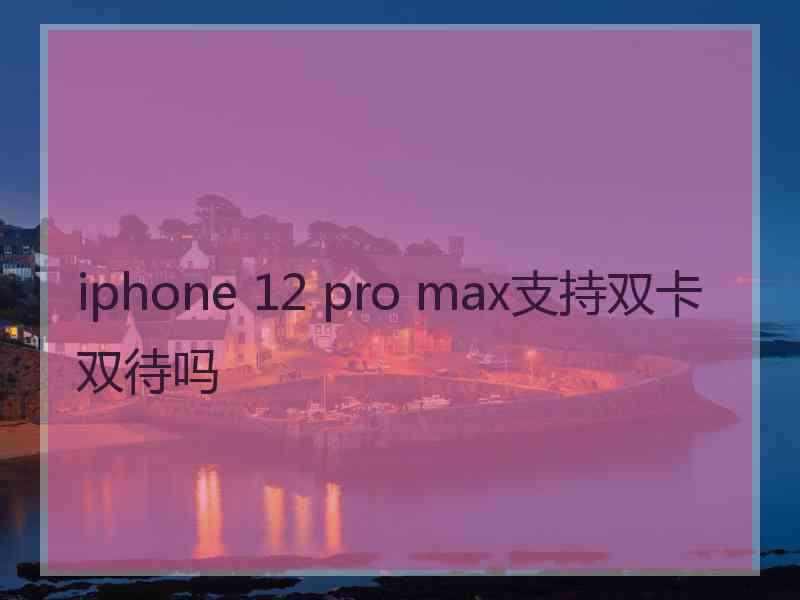 iphone 12 pro max支持双卡双待吗