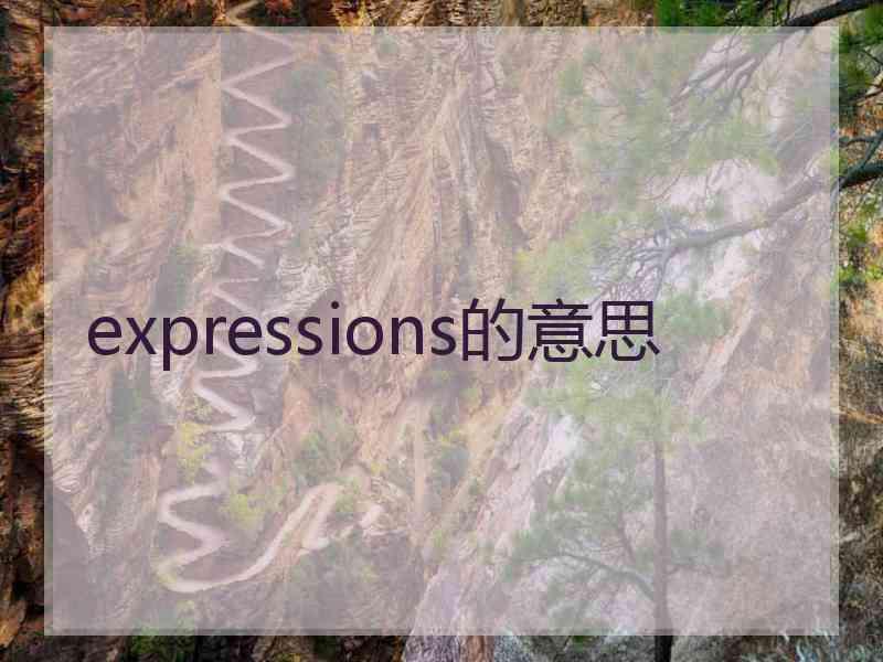 expressions的意思