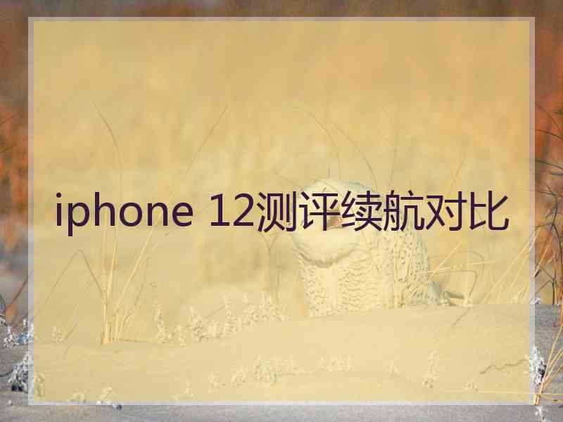 iphone 12测评续航对比