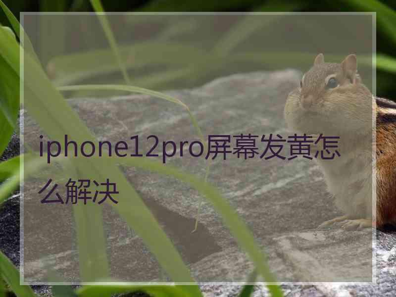 iphone12pro屏幕发黄怎么解决