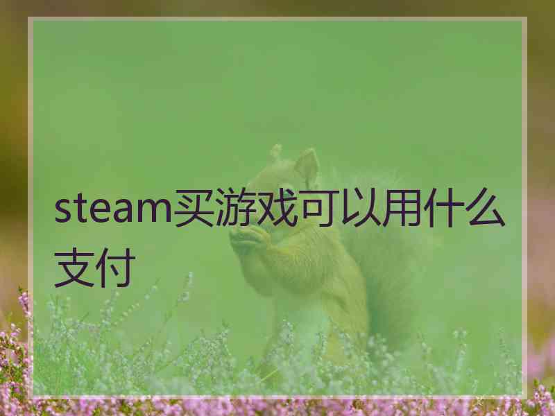 steam买游戏可以用什么支付