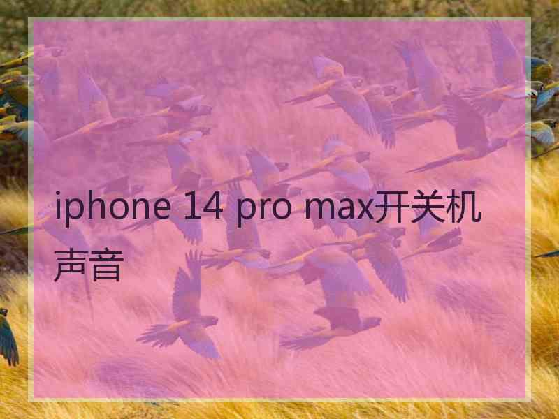 iphone 14 pro max开关机声音