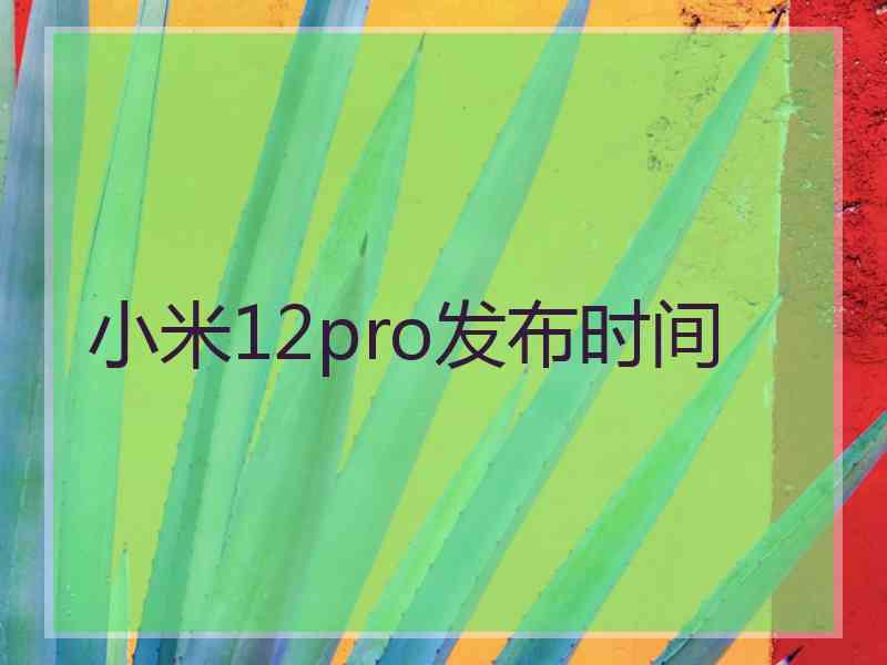 小米12pro发布时间