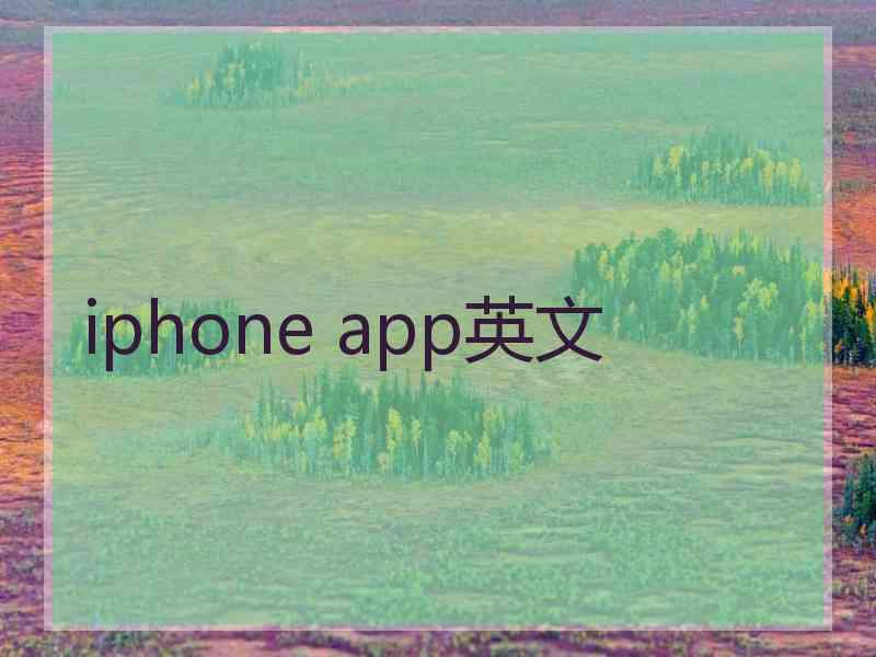 iphone app英文