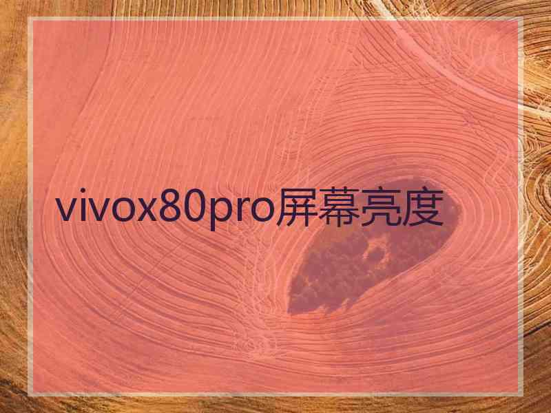 vivox80pro屏幕亮度