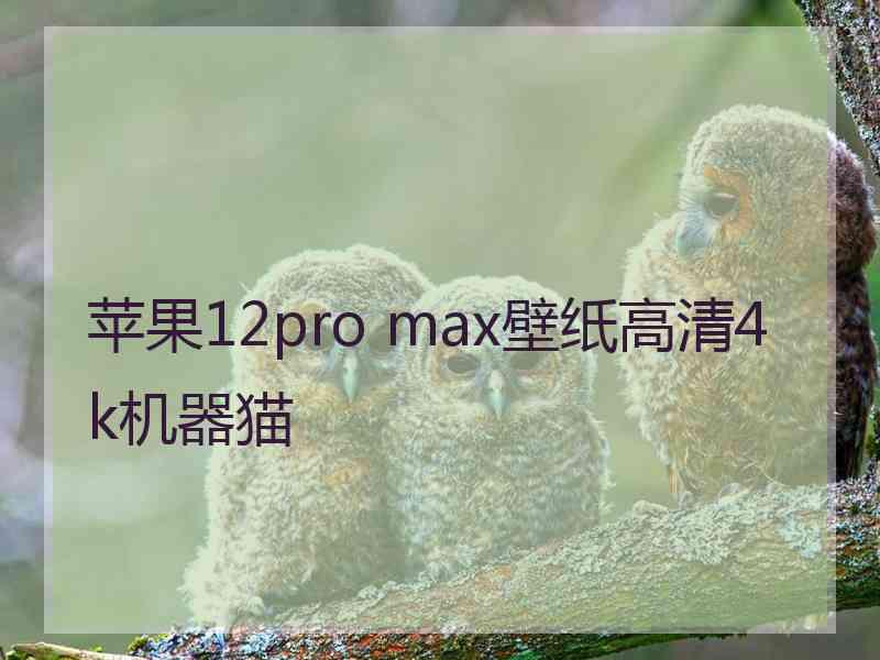 苹果12pro max壁纸高清4k机器猫