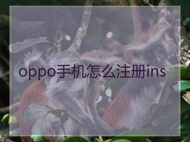 oppo手机怎么注册ins