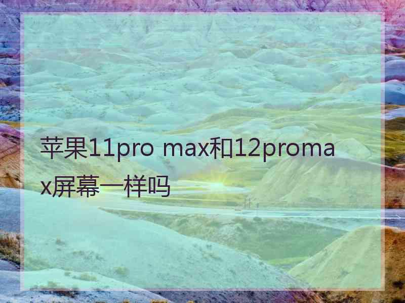 苹果11pro max和12promax屏幕一样吗