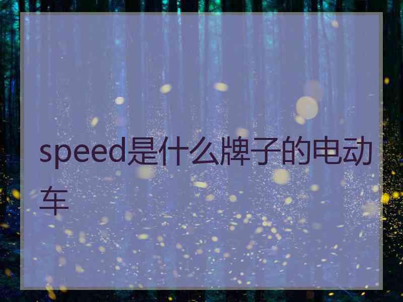 speed是什么牌子的电动车