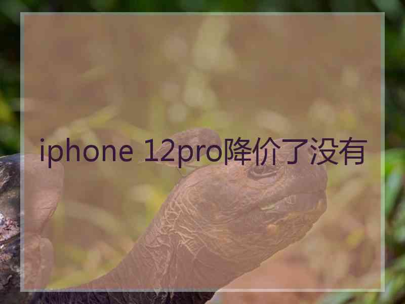 iphone 12pro降价了没有