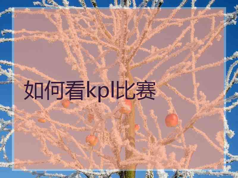 如何看kpl比赛