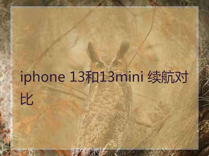 iphone 13和13mini 续航对比