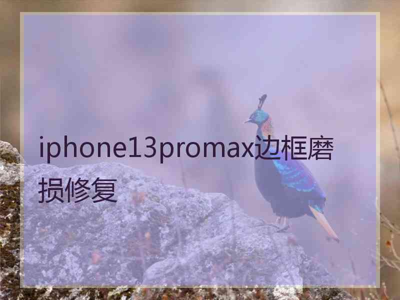 iphone13promax边框磨损修复