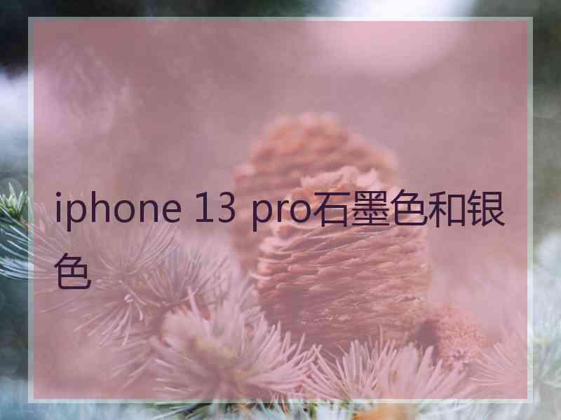 iphone 13 pro石墨色和银色