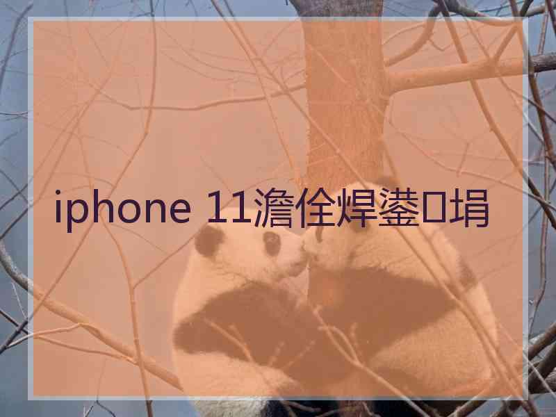 iphone 11澹佺焊鍙埍