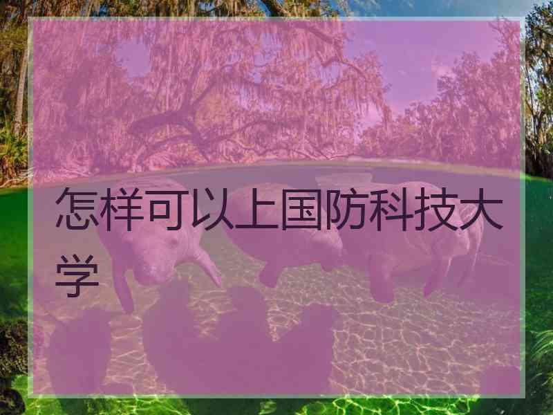 怎样可以上国防科技大学