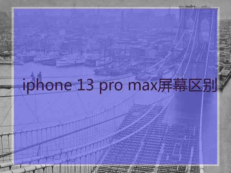 iphone 13 pro max屏幕区别