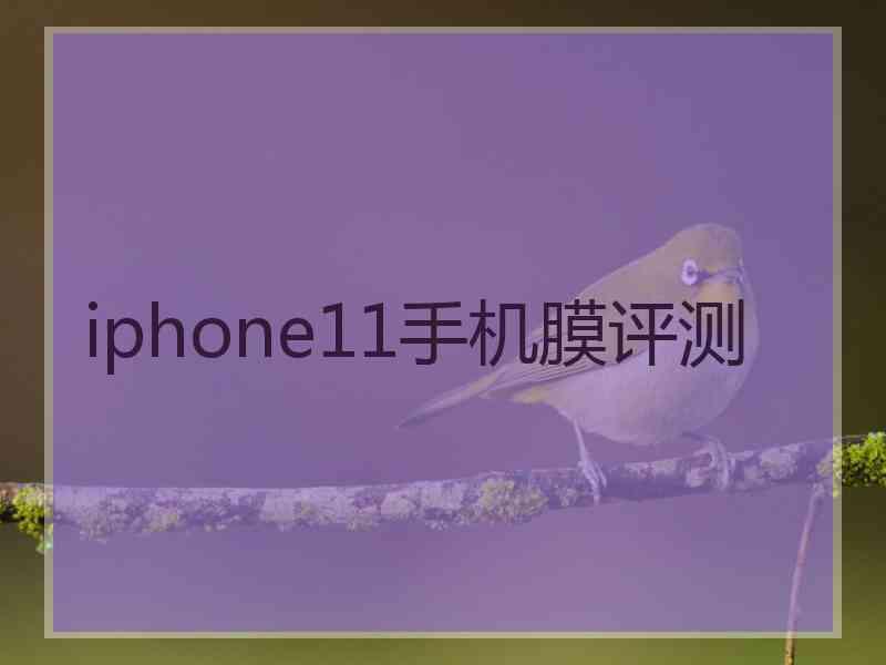 iphone11手机膜评测