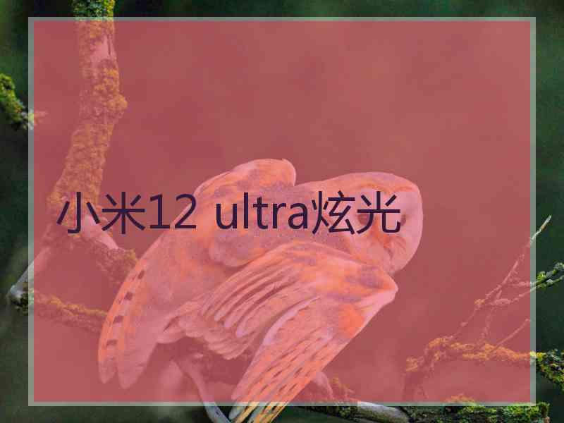 小米12 ultra炫光