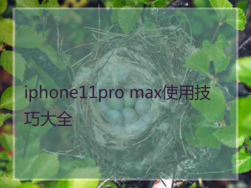 iphone11pro max使用技巧大全