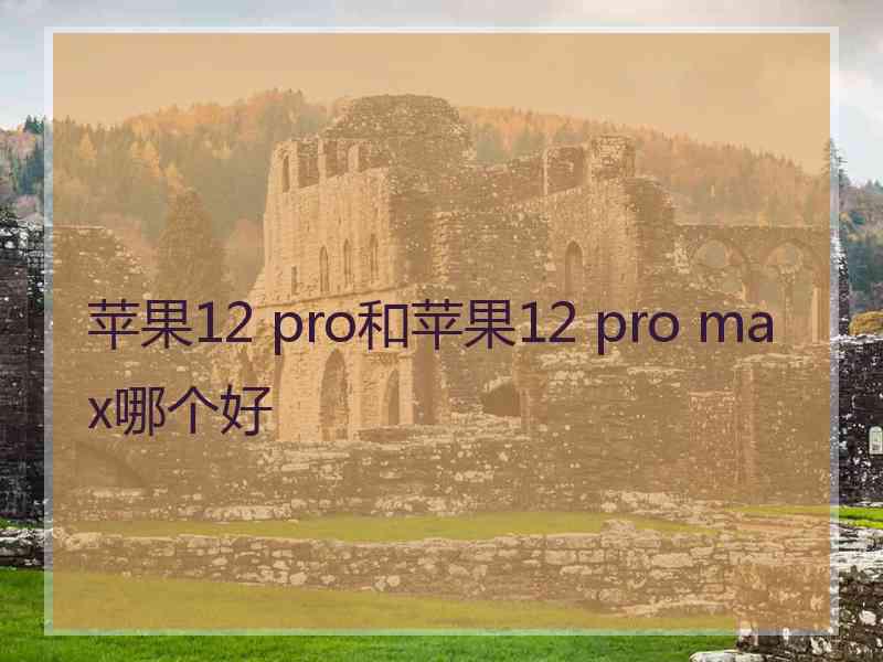 苹果12 pro和苹果12 pro max哪个好