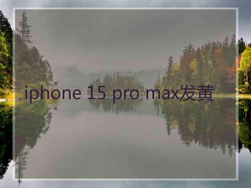 iphone 15 pro max发黄