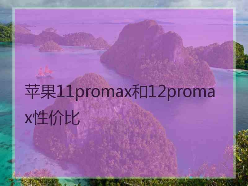 苹果11promax和12promax性价比