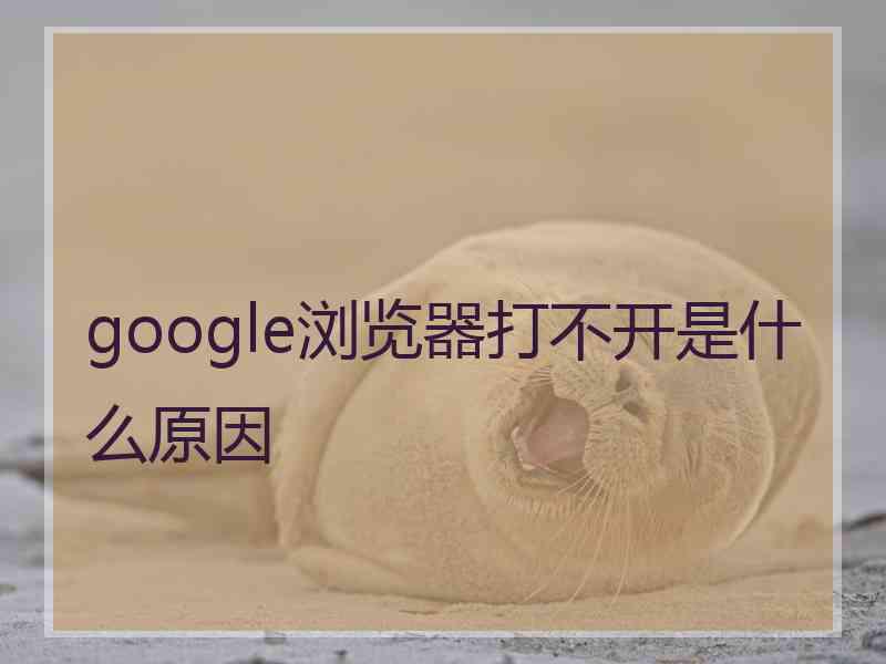 google浏览器打不开是什么原因